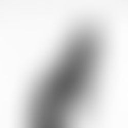 Kaptured by KaGe | Archives 2022