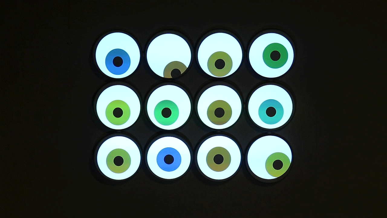 Eyeballs-GIF-For-Web.gif