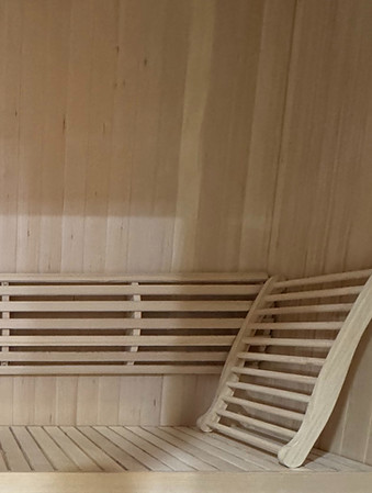 inside elite sauna 2