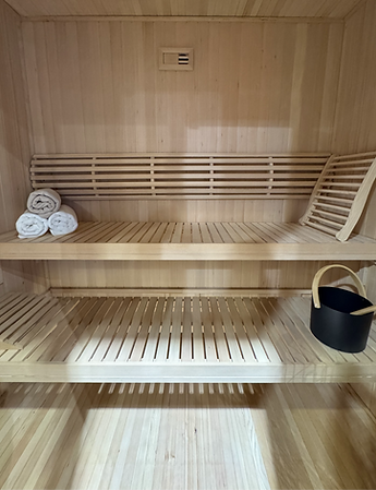 inside elite sauna
