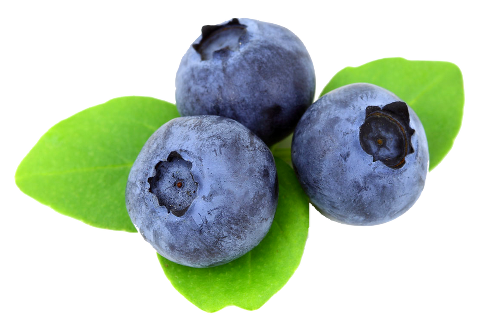 Confit d'oignons aux bleuets et porto