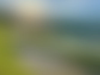 ６月に入りました。みなさんお変わりないでしょうか？