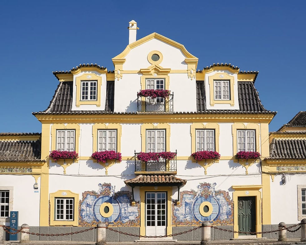 Historic wine estate in Azeitão on a private Sesimbra and Arrábida wine tour from Lisbon.