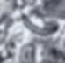 AB03+(HKD)