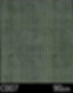 C007 (DP)