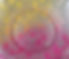 CA-R-019-01
