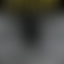 El VISITANTE de Stephen KING