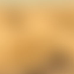 Ilustrador, además de Escritor.