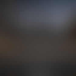 Blog 6- April 13th