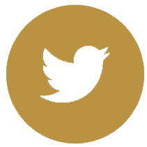 TwitIcon