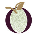 Olive & Origin Abbreviated Logo