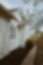 IMG_5195.jpeg
