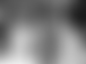 Heartwarming Stories About Appreciation