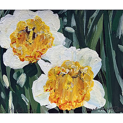 Janet-de-Wagt-Daffodils-206-WEB.jpg