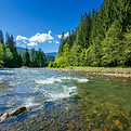 AdobeStock_314516499.jpeg