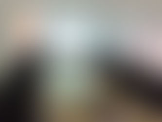 What is Pupils to Professionals?