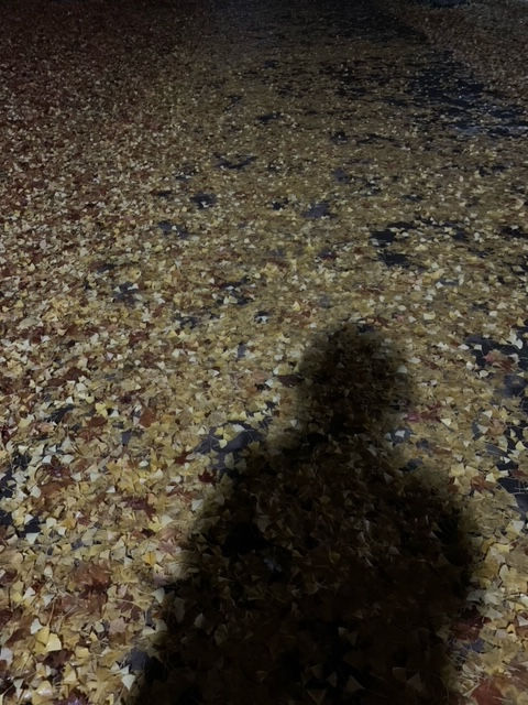 紅葉