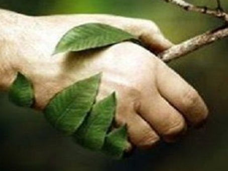 ESG Through a Startup Lens