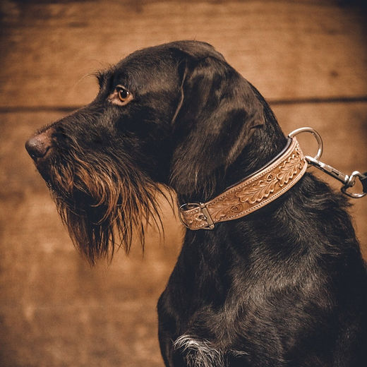 Hundehalsband Jagd-Motiv | ARADOR
