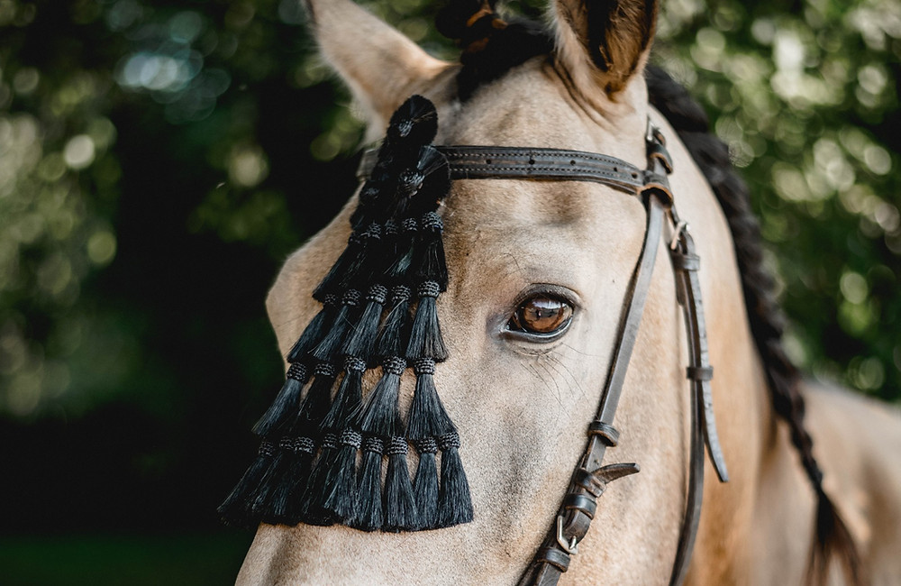 Halsringlonge Pferd