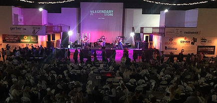 concert2.jpeg