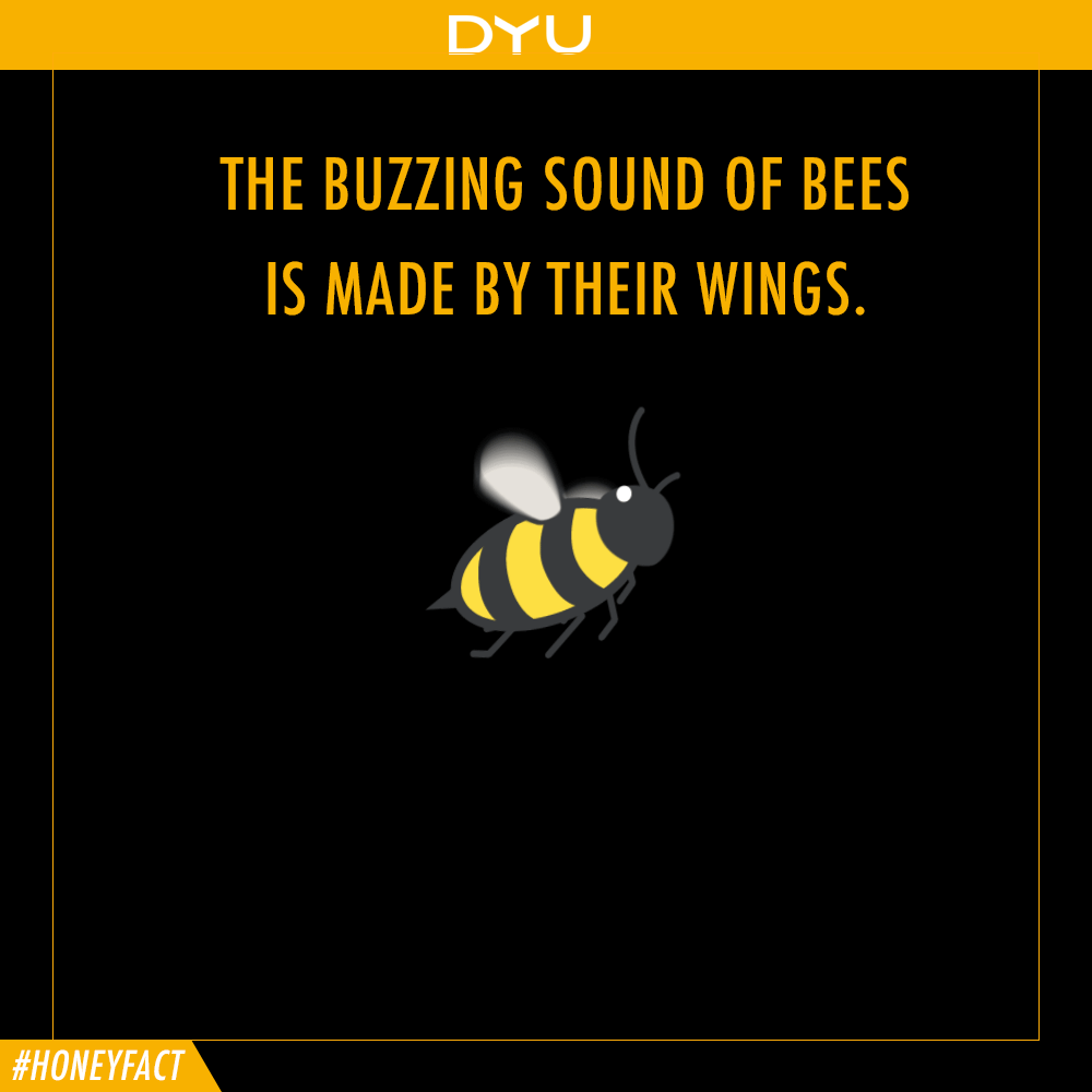The Buzz