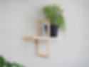 elf shelf with plants on the wall