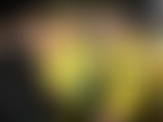 Ηλιόπουλος: «Τα σχόλια περισσεύουν, κάθε άνθρωπος βλέπει, καταλαβαίνει και συνεχίζουμε»