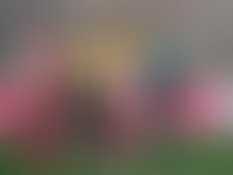 Η ΑΕΚ κατήγγειλε και ζητά την τιμωρία του Ποντένσε για ρίψη αντικειμένου στην εξέδρα!