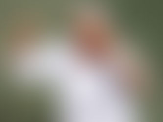 Μανωλάς: «Δεν μπορεί να τιμωρείται μία ομάδα για μία φωτοβολίδα - Ο Αλμέιδα αγαπάει την ΑΕΚ!»