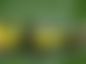 «Τίποτα δεν έχει τελειώσει», το μήνυμα Νίκολιτς στην ΑΕΚ