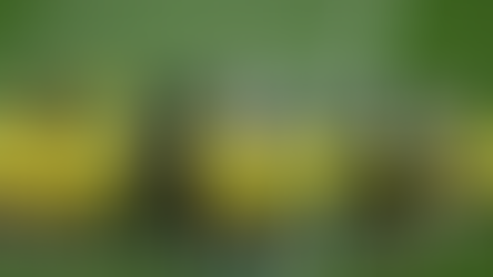 «Τίποτα δεν έχει τελειώσει», το μήνυμα Νίκολιτς στην ΑΕΚ