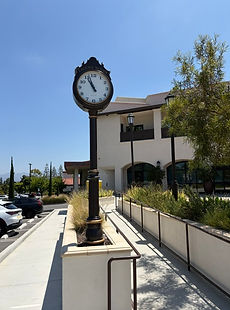 IMG_9320.jpeg