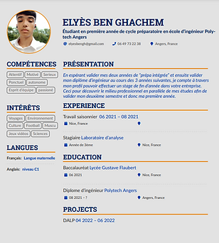 CV ELYES.PNG