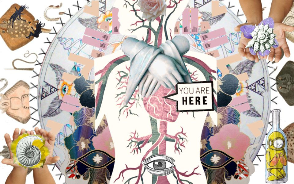 Collage with pinks, yellows, teals and blues with a circulatory system. Over the heart is a word bubble saying "You Are Here." Beneath this is an open eye, on the sides are cupped hands holding spiral shells.