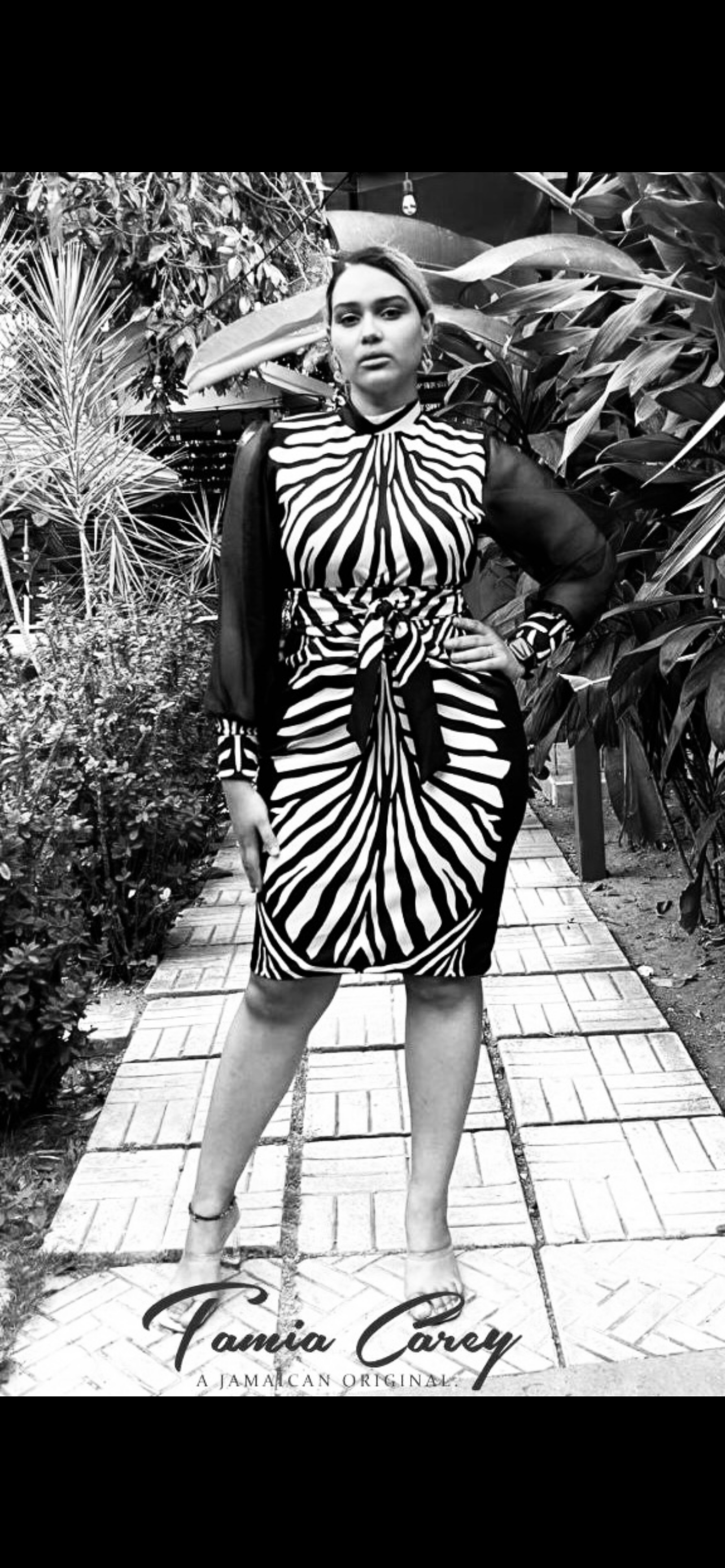 CHIFFON SLEEVE DRESS