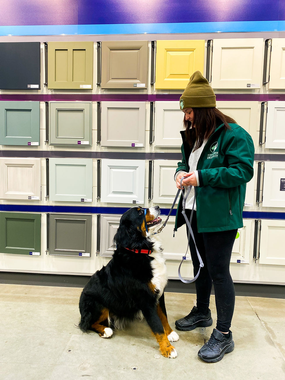 In Person Consultation