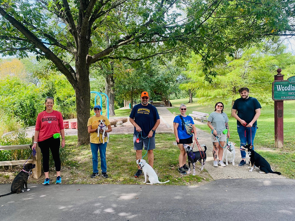 Pack Walk led by Kristen Perrus, CCPDT