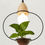 Thumbnail: Art Deco Led Plant Pendant Light With Wood Base E27 Creative Rustic Pot Culture 