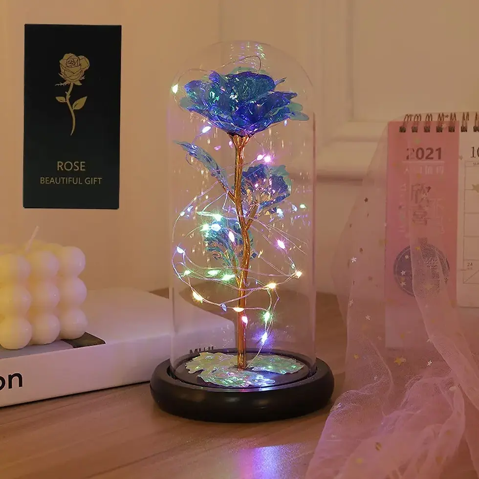 Valentines Day Gift for Girlfriend Eternal Rose LED Light Foil Flower In Glass C