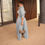 Thumbnail: Fall Denim Suit For Women Long Sleeve Lapel Top And Wide Leg Pant Outfits Comfor