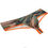 Thumbnail: Men's Camouflage Mini Boxers Super Soft & Smooth Gay Underwear Sexy Men Pants Bi