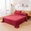 Thumbnail: Solid Color Soft Brushed Bed Set Fitted sheet Flat Sheet Pillowcase Bedding Set 