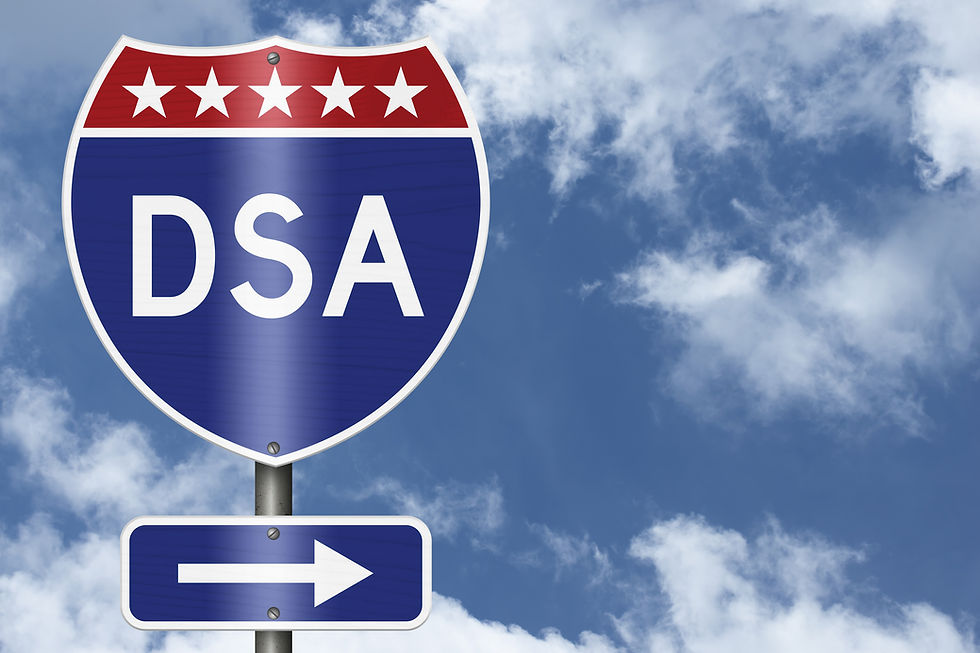 CHILDMINDED DSA WOMEN AND MEN OF A CERTAIN TYPE THREATEN AMERICA