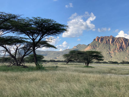 Bodich Campsite, Shaba National Reserve