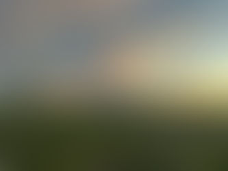 Landscape image