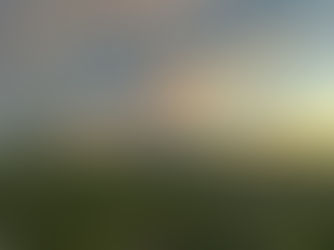 Landscape image