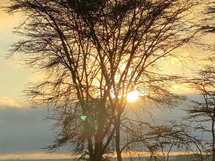 Camping Lessons for Living in a Pandemic