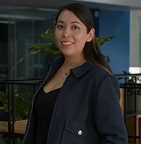 Arq. Alma Fernández 