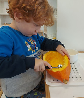 nasems_fotogalerie_foto (15)_edited.jpg